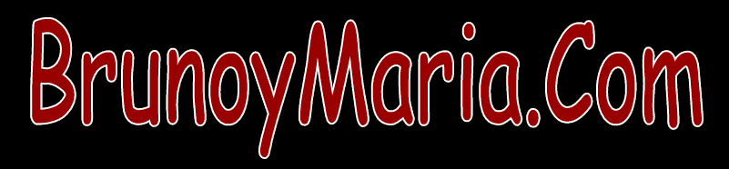 pulsa aqui para volver a la pagina principal de brunoymaria.com